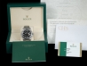 Rolex Explorer II 42 Black Dial - Rolex Guarantee  Watch  216570